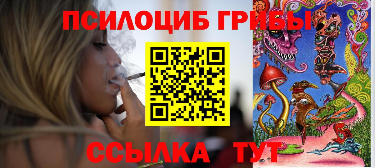Псилоцибиновые грибы Psilocybe Псков