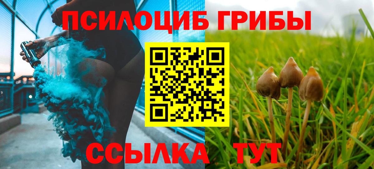 Псилоцибиновые грибы Psilocybine cubensis  Галлюциногенные грибы прущие грибы  Вход с VPN  Псков 